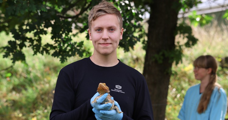Två elever undersöker en hund i skolans veterinärklinik