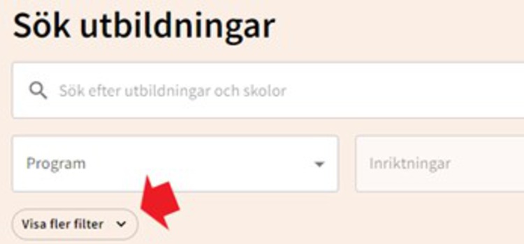 skärmavbild ansökningswebb med text "sök utbildningar"