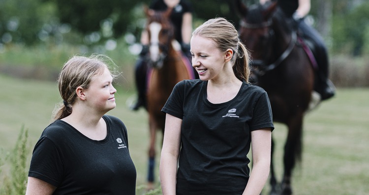 Dressyrryttare galopperar en skolhäst på en äng