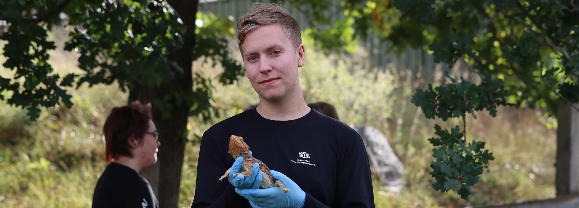 Traktor harvar en åker framför Öknaskolans slott