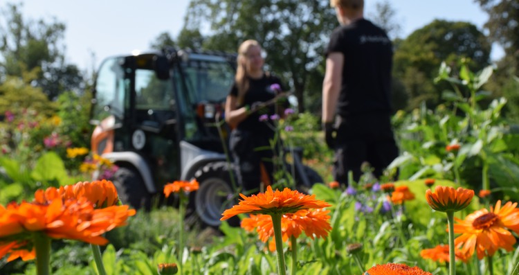Elever tar en paus från trädgårdsanläggandet i Nynäs slottspark. Orange blommor i förgrunden