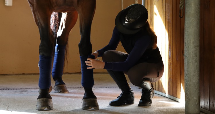 Tjej lindar benen på en häst